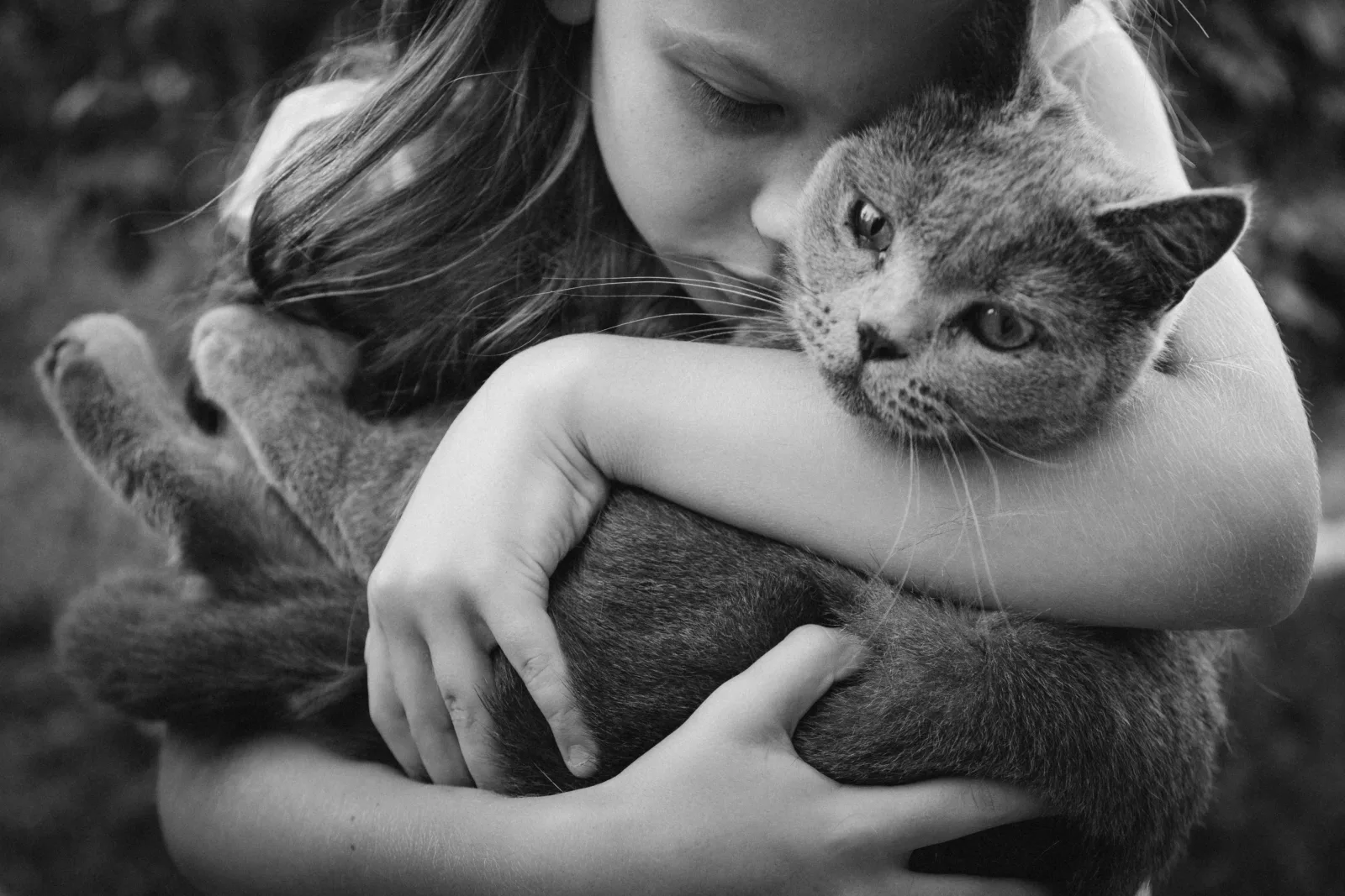 Une petite fille et son chat